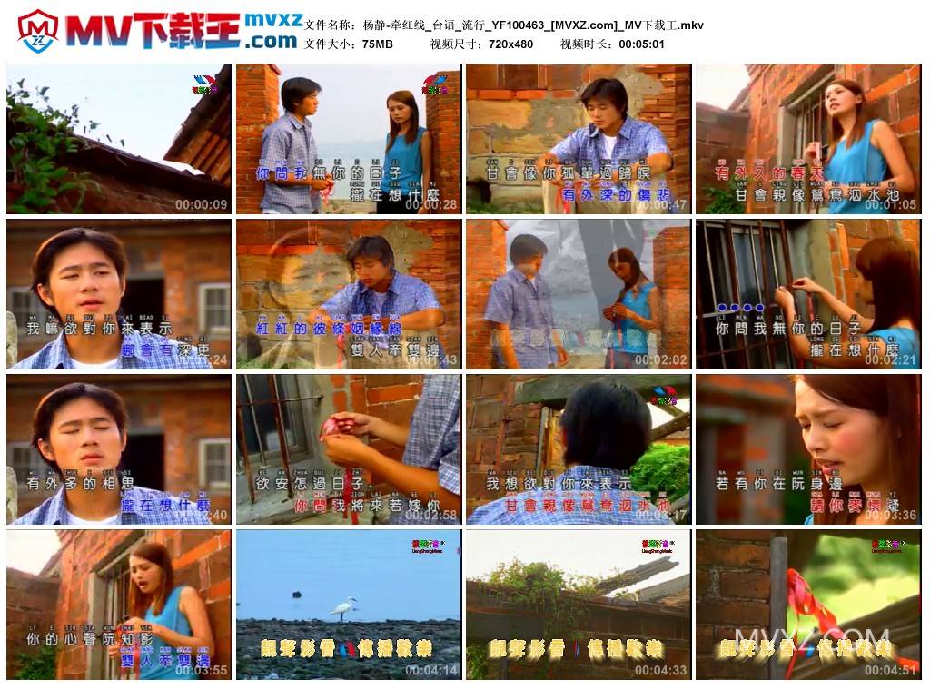 杨静-牵红线_台语_流行_YF100463